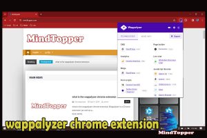 wappalyzer chrome extension